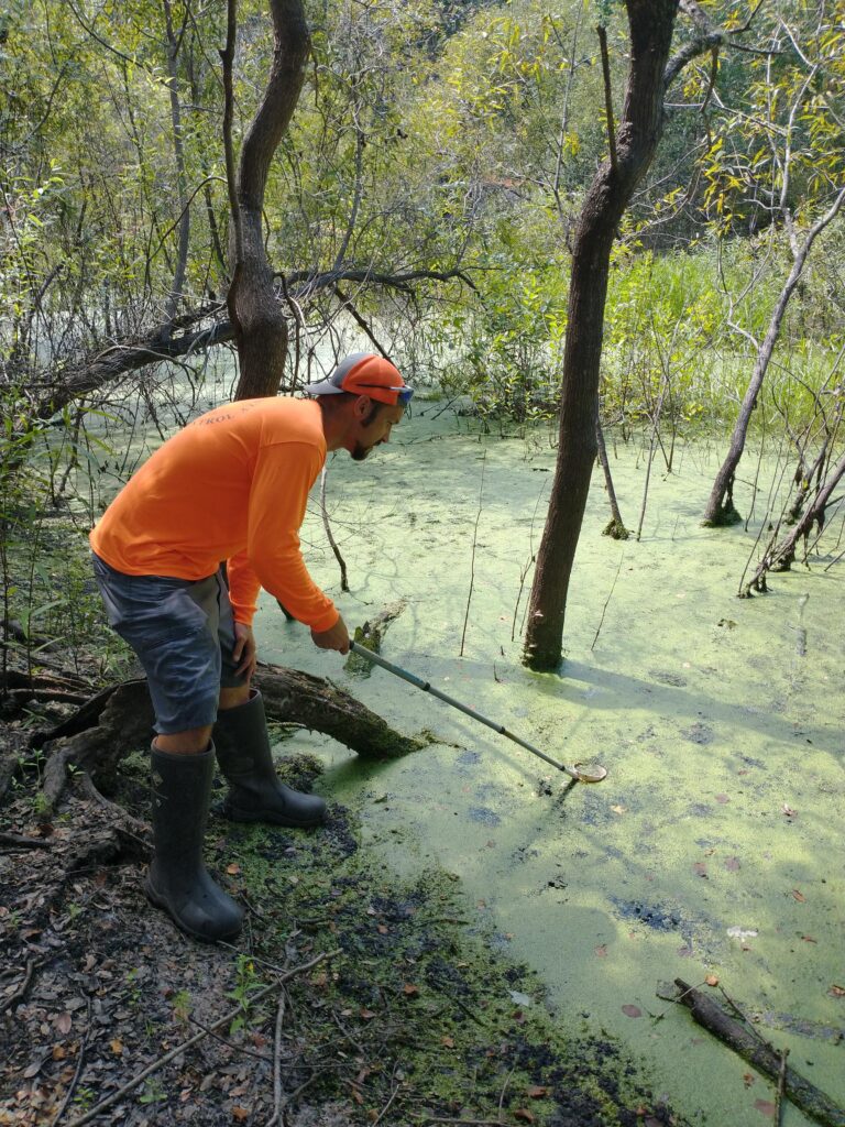 person in swamp