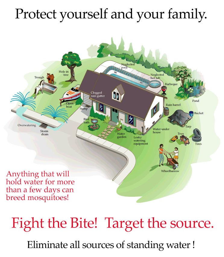 Protect yourself and your family. Anything that will hold water for more than a few days can breed mosquitoes!