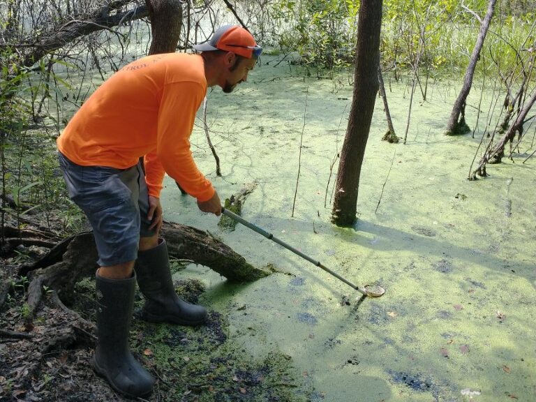 person in swamp looking for mosquito larvae