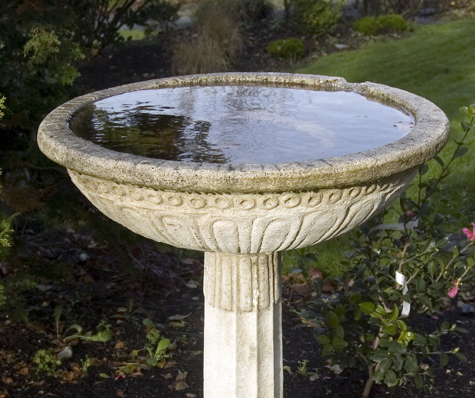 bird bath