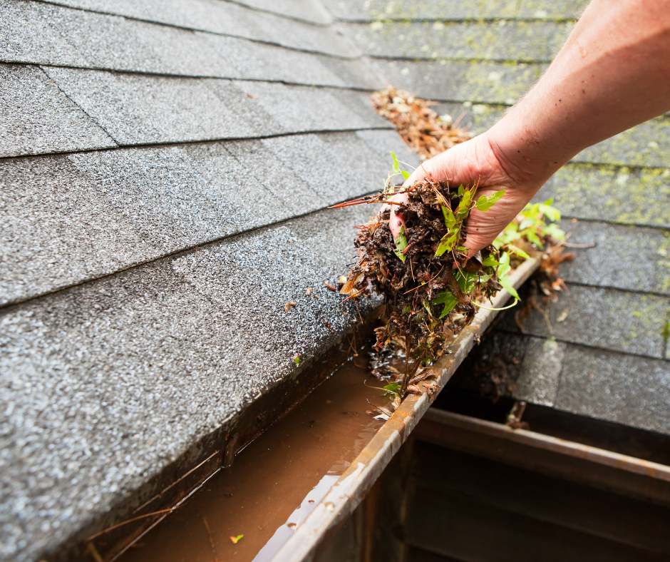 clogged gutter