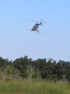 Helicopter treating with larvicides